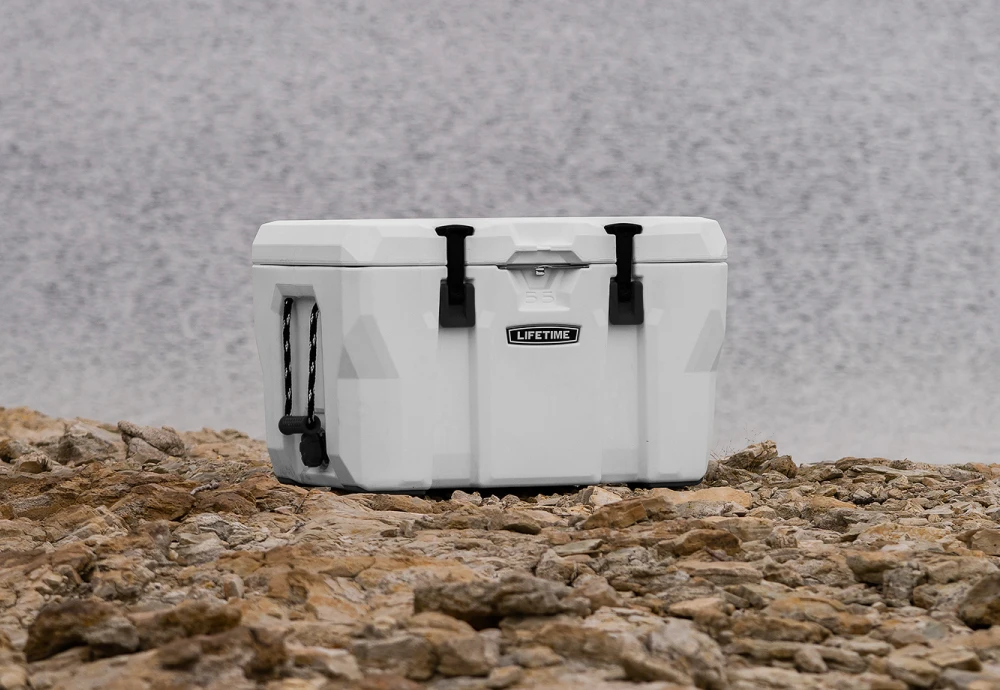 portable car cooler box